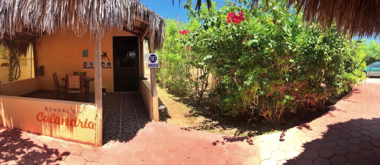 Bungalows Cabo Pulmo *