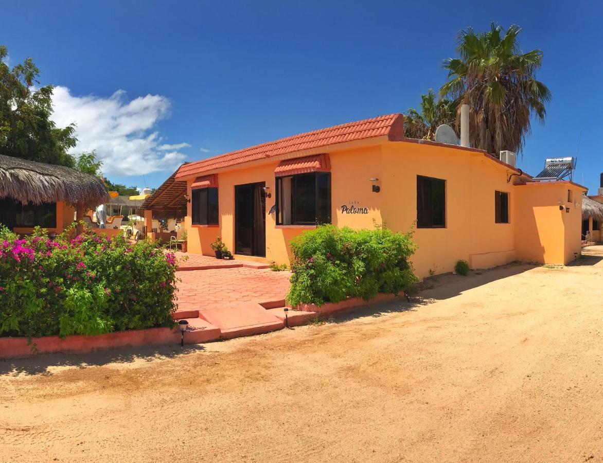 Bungalows Cabo Pulmo * Cabo Pulmo